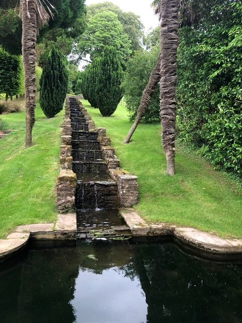 Hollam House gardens Hollam House garden