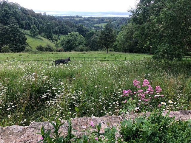 exmoor-friends-hollam-house-visit-view Hollam House view